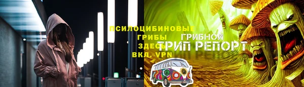 соль ск Медногорск
