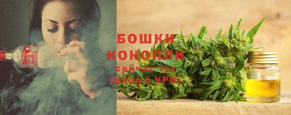трава Мегион