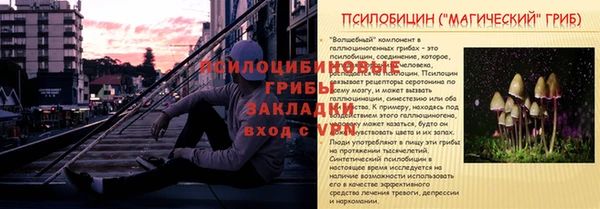 альфа пвп Медвежьегорск